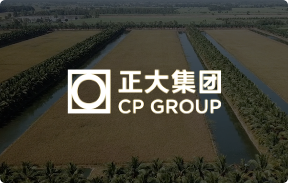 凯旋客户案例